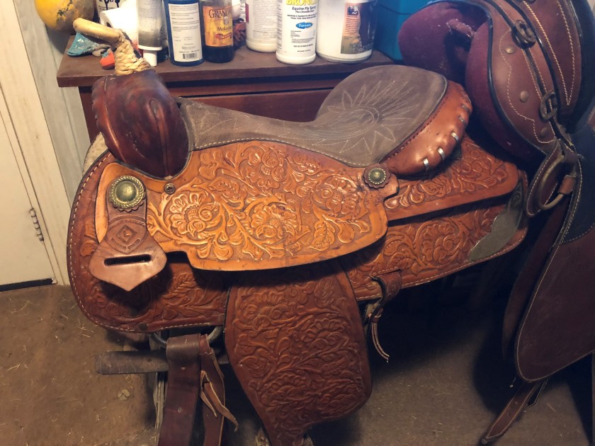 saddle1